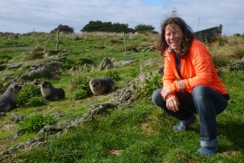 A woman in orange kneeling next to seals.